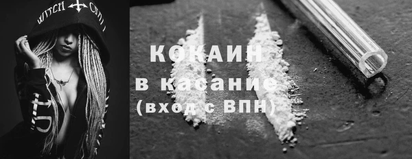 крисы Армянск