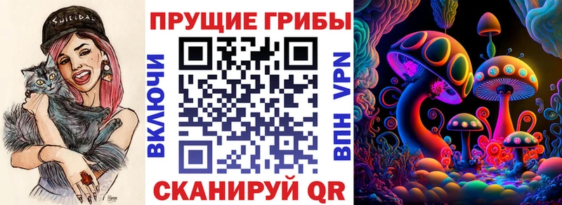 Галлюциногенные грибы Psilocybe  как найти   Узловая 